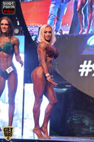 SN PRO EXPO - 2017