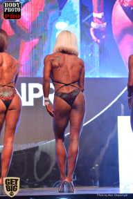 SN PRO EXPO - 2017