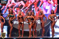 SN PRO EXPO - 2017