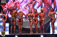 SN PRO EXPO - 2017