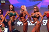 SN PRO EXPO - 2017