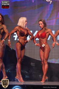 SN PRO EXPO - 2017