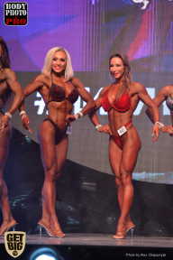SN PRO EXPO - 2017