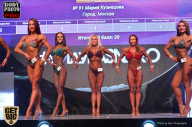 SN PRO EXPO - 2017