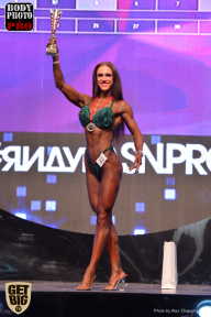 SN PRO EXPO - 2017