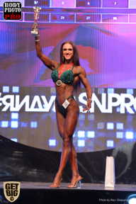 SN PRO EXPO - 2017