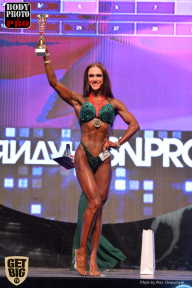 SN PRO EXPO - 2017