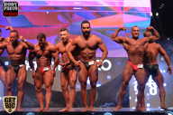 SN PRO EXPO - 2017