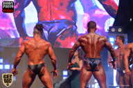 SN PRO EXPO - 2017