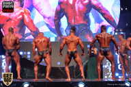 SN PRO EXPO - 2017