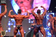 SN PRO EXPO - 2017