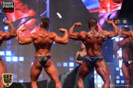 SN PRO EXPO - 2017