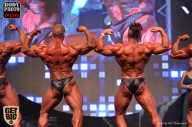 SN PRO EXPO - 2017