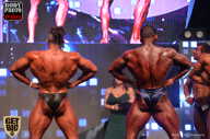 SN PRO EXPO - 2017