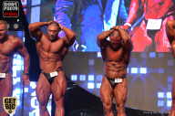 SN PRO EXPO - 2017