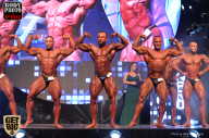 SN PRO EXPO - 2017