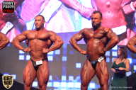 SN PRO EXPO - 2017