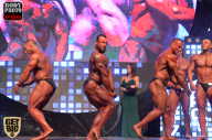 SN PRO EXPO - 2017