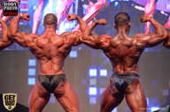 SN PRO EXPO - 2017