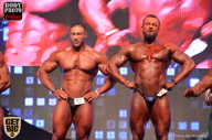 SN PRO EXPO - 2017