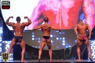 SN PRO EXPO - 2017