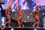 SN PRO EXPO - 2017