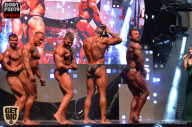 SN PRO EXPO - 2017