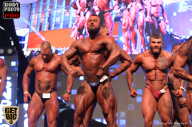 SN PRO EXPO - 2017
