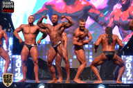 SN PRO EXPO - 2017