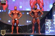 SN PRO EXPO - 2017