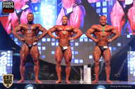 SN PRO EXPO - 2017