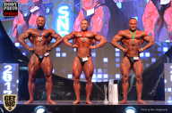 SN PRO EXPO - 2017