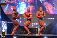 SN PRO EXPO - 2017