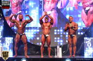 SN PRO EXPO - 2017