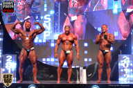 SN PRO EXPO - 2017