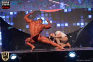 SN PRO EXPO - 2017