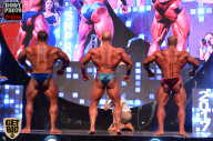 SN PRO EXPO - 2017