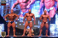 SN PRO EXPO - 2017
