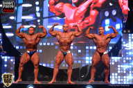SN PRO EXPO - 2017
