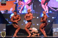 SN PRO EXPO - 2017
