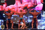 SN PRO EXPO - 2017