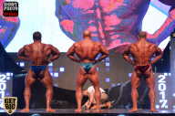 SN PRO EXPO - 2017