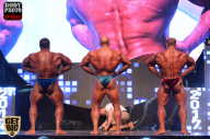 SN PRO EXPO - 2017