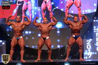 SN PRO EXPO - 2017