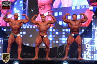 SN PRO EXPO - 2017