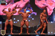 SN PRO EXPO - 2017