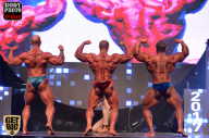 SN PRO EXPO - 2017