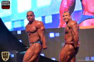 SN PRO EXPO - 2017