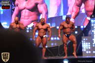 SN PRO EXPO - 2017