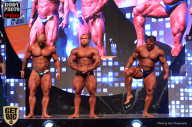 SN PRO EXPO - 2017